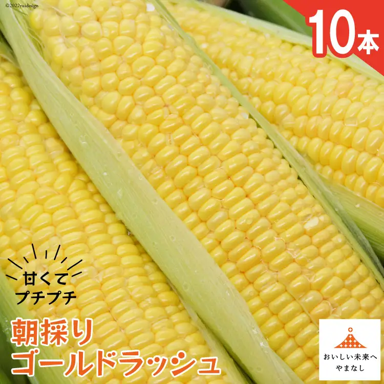 【期間限定発送】 朝採り 即出荷 甘くてプチプチ ゴールドラッシュ 10本 [しゃんと畑 山梨県 韮崎市 20745241]