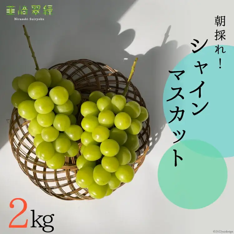 【2026年発送】シャインマスカット 予約 約 2kg  NS-1001 韮崎翠緑セレクト[韮崎翠緑 山梨県 韮崎市 20742826]