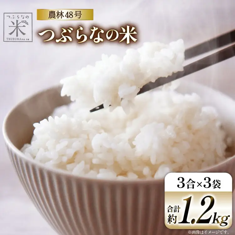 令和7年 米 農林48号 3合×3袋セット 約 1.2kg [つぶらな 山梨県 韮崎市 20741896]