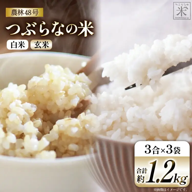 令和7年 農林48号 白米 3合 2袋 & 玄米 3合 1袋 計3袋 [つぶらな 山梨県 韮崎市 20741898] 