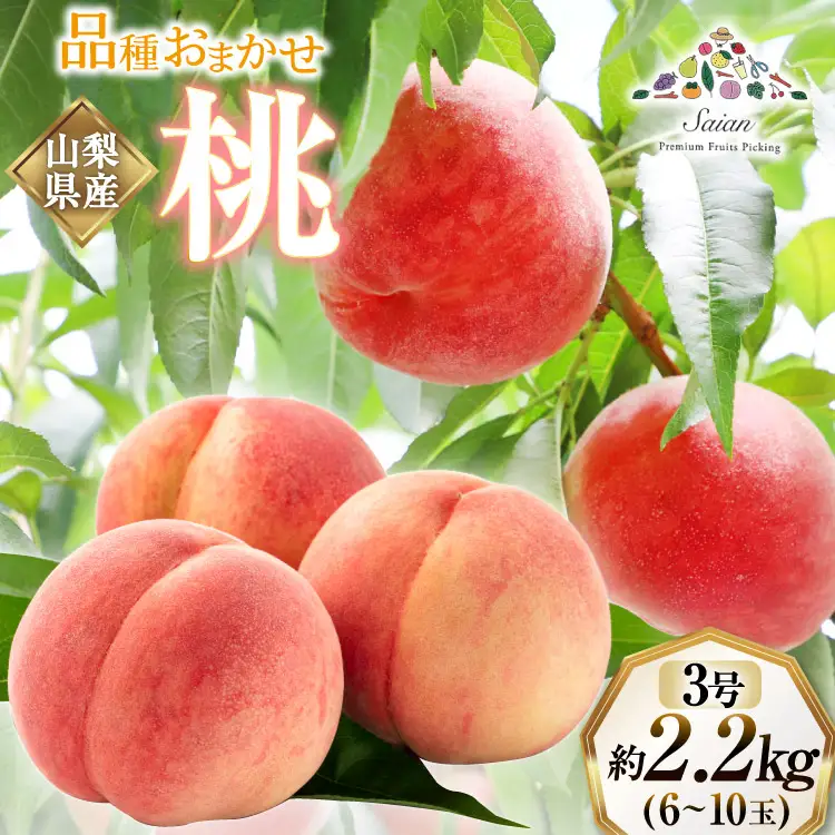 【2026年発送】訳あり 桃 もも 白鳳 or 白桃 3号 約2.2kg (6～10玉) モモ 果物 フルーツ 山梨 期間限定 季節限定 冷蔵 農福連携 [斎庵 山梨県 韮崎市 20745277]