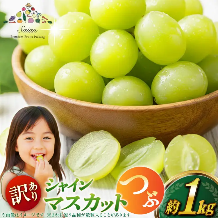 【2026年発送】シャインマスカット 訳あり家庭用 粒 にてお届け 約1kg 山梨県産 冷蔵発送 果物 フルーツ 山梨 ぶどう マスカット ブドウ 葡萄 規格外 期間限定 季節限定 冷蔵 [斎庵 山梨県 韮崎市 20745284]