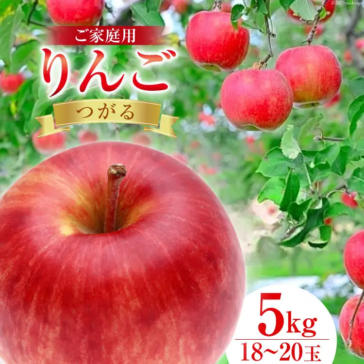 【2026年発送】 【 数量限定 訳あり 】 家庭用 りんご つがる 5kg 18～20玉 [長坂りんご園 山梨県 韮崎市 20743083]