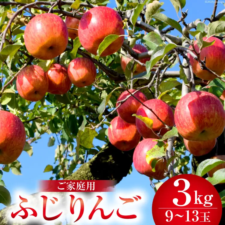 りんご  ふじ ふじりんご | 株式会社ファーマインド