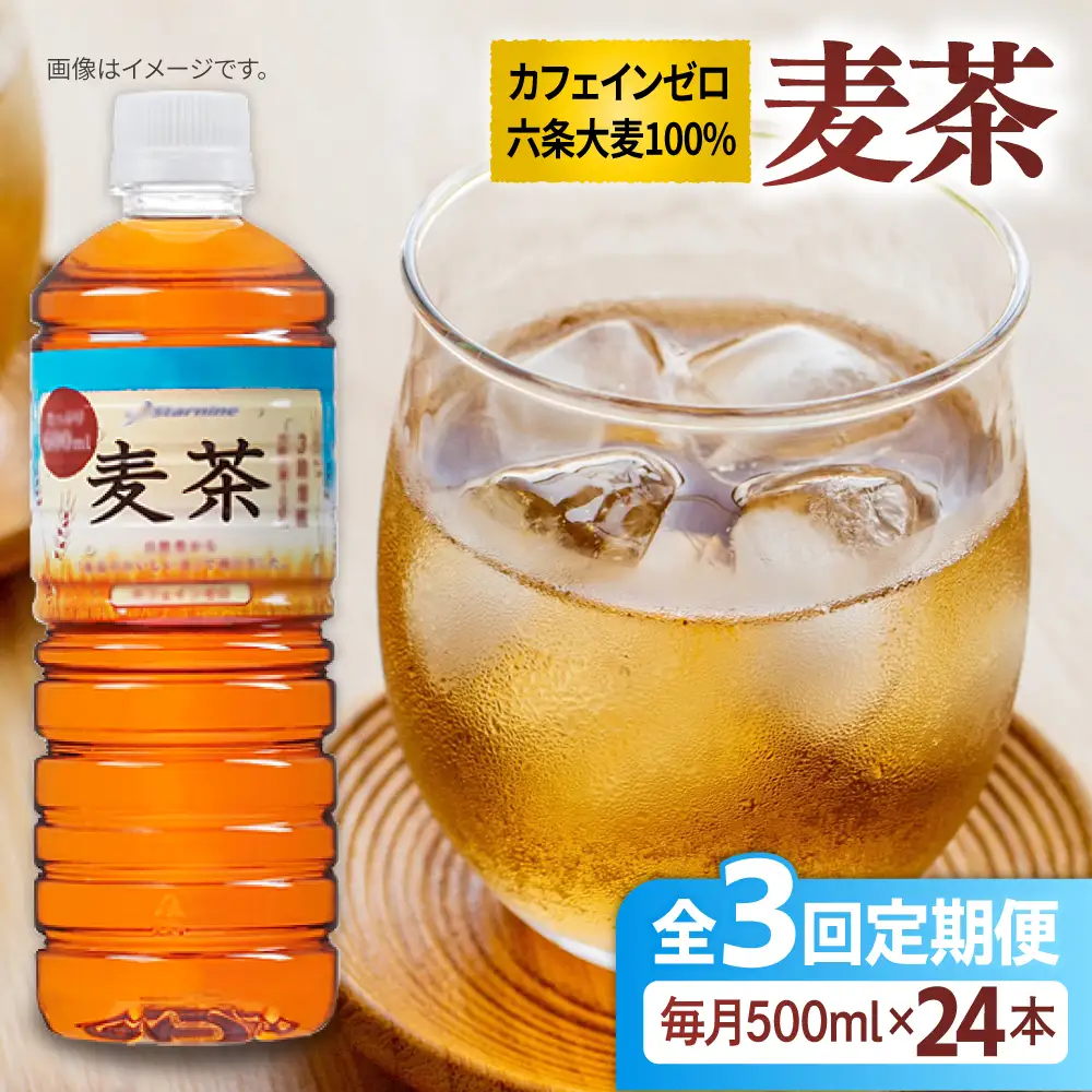 【全3回定期便】麦茶 600ml × 24本  糸島市 / スターナイン お茶 ペットボトル [ARM018]