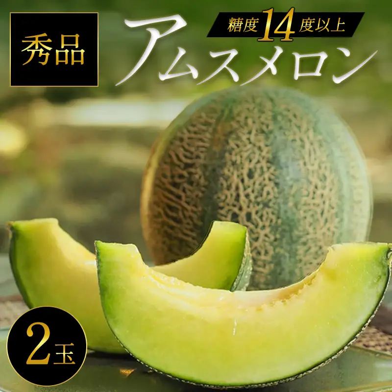 A-1147 益田産あまーいアムスメロン ２玉（秀品）