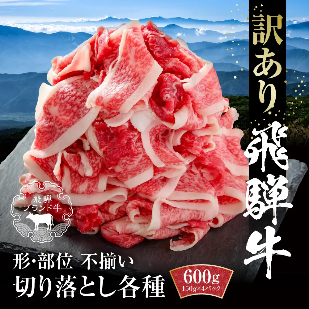【ふるなび限定】牛肉 訳あり 飛騨牛 切落とし 600g 牛肉 飛騨高山ミート MZ012 牛肉 FN-Limited-PR