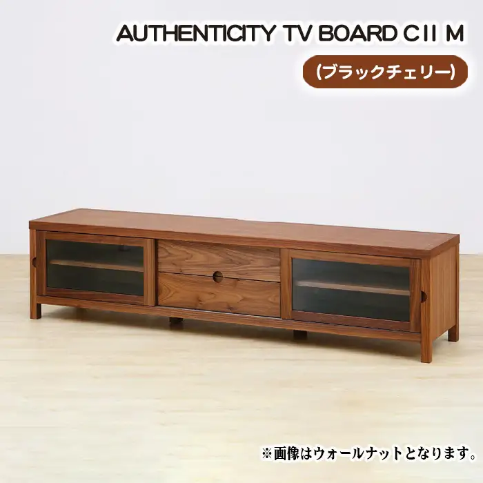 （CH）AUTHENTICITY TV BOARD CⅡ M No.841