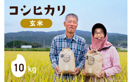 【期間限定発送】 米 令和6年 コシヒカリ 玄米 10kg×1 [農家にしの 石川県 宝達志水町 38600877]