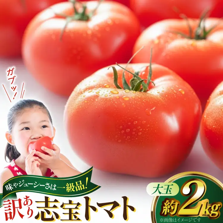 【 訳あり 】志宝トマト 大玉 約 2kg [モアショップヤマモト 石川県 宝達志水町 38601138]