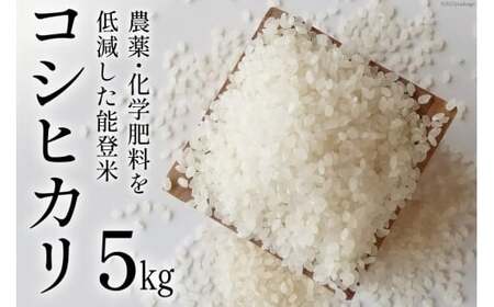 【期間限定発送】 米 令和7年 能登米 コシヒカリ 精米 5kg [みどりの波 石川県 宝達志水町 38601256]
