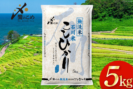 米 令和7年 無洗米 石川米 こしひかり 5kg [38601204]