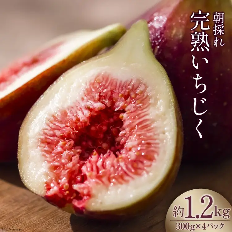 【期間限定発送】 いちじく 生 完熟 約1.2kg (300g×4パック) [モアショップヤマモト 石川県 宝達志水町 38600615]