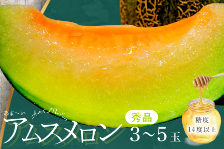 A-1148 益田産あまーいアムスメロン ３～５玉（秀品）