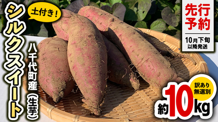 さつまいも シルクスイート 訳あり 約10kg サツマイモ