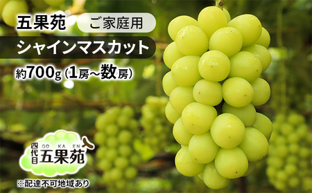 ぶどう 2026年 先行予約 ご家庭用 シャインマスカット 約700g（1房～数房） 岡山