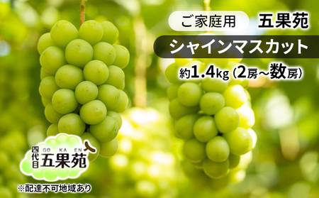 ぶどう 2026年 先行予約 ご家庭用 シャインマスカット 約1.4kg（2房～数房） 岡山