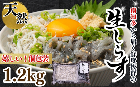 生しらす お刺身 1.2kg 小分け 岬だより 生しらす刺し身