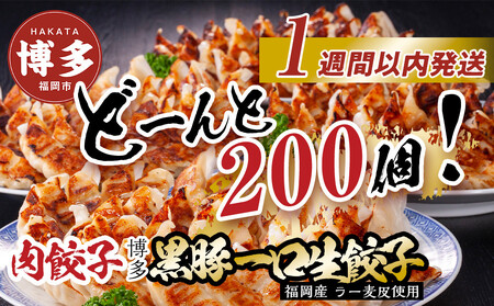 【1週間以内に発送！】【福岡ブランド】博多黒豚一口生餃子 福岡県産ラー麦皮使用 創業40年以上福岡会社製造 | 博多 冷凍餃子 生餃子 焼き餃子 ぎょうざ ギョーザ 小分け 惣菜 人気 おすすめ 冷凍食品 冷凍 中華 お取り寄せ グルメ 福岡市