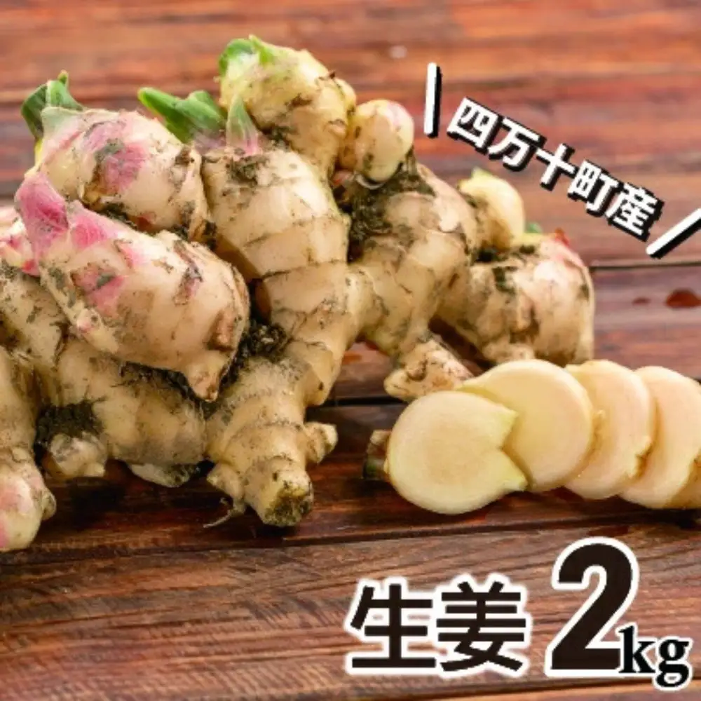 【予約受付】ミネラル豊富なエコ栽培の生姜 たっぷり2kg／Fms-B09