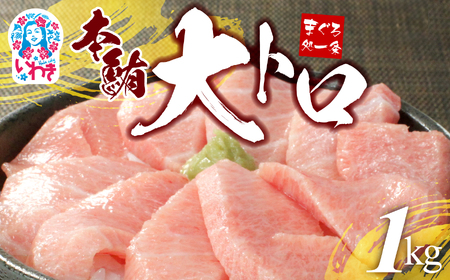 大トロ 本マグロ 4～6柵 約1kg 大トロ