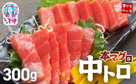 本まぐろ 中トロ 訳あり 約300g まぐろ 増量【DG007】