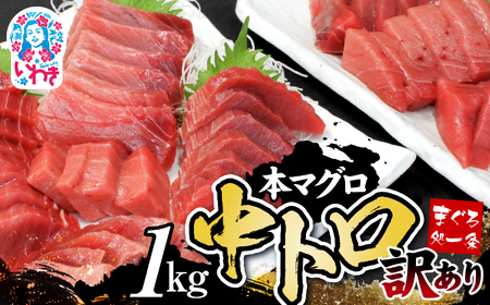 【訳あり】本マグロ 中トロ 約1kg まぐろ