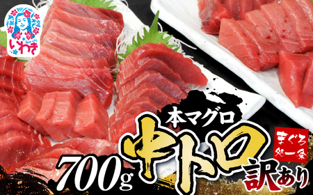 訳あり 本マグロ700g 中トロ まぐろ【DG008】