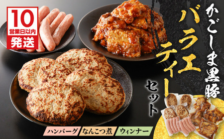 【10営業日以内に発送】鹿児島黒豚 バラエティー セット K091-008 肉 豚肉 惣菜 総菜 冷凍 ハンバーグ スピード配送 最短 すぐ届く お急ぎ