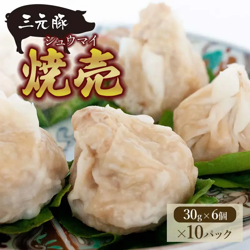 三元豚 焼売 シュウマイ （30g×6個入×10パック）　株式会社たませ