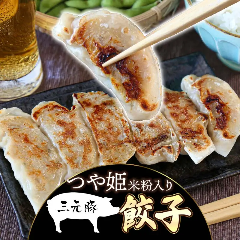 つや姫米粉入り 三元豚餃子（32g×6個入×10パック）　株式会社 たませ