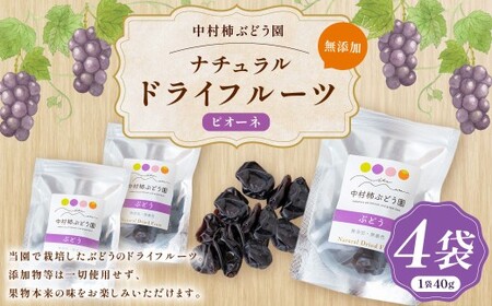 中村柿ぶどう園 ナチュラルドライフルーツ (ピオーネ) 約40g×4個
