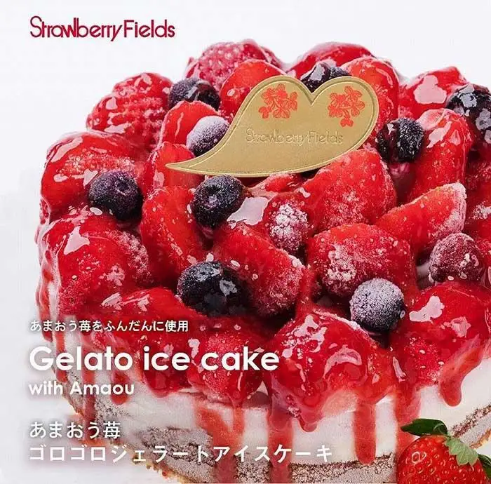 【福岡市】あまおう苺ゴロゴロジェラートアイスケーキ 1個（5号 15cm径）ストロベリーフィールズ | アイス アイスケーキ 冷凍 スイーツ デザート ジェラート 5号 おすすめ 人気 ギフト プレゼント 福岡市 返礼品