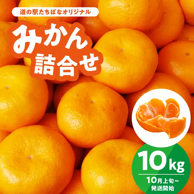 ＜道の駅たちばなオリジナル＞みかん10kg詰合せ（2026年10月上旬より発送開始） みかん ミカン オレンジ くだもの 果物 フルーツ デザート 極早生 早生 甘い 福岡県 八女市 054-010