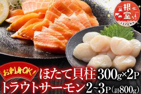 お刺身ほたて貝柱300g×2P＆お刺身トラウトサーモン2～3P(計800g) B-09101