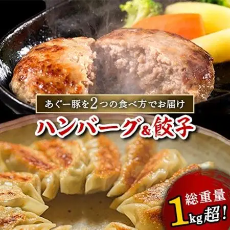 総重量1kg超!あぐー豚を2つの食べ方でお届けします(ハンバーグ＆餃子)【配送不可地域：離島】【1139598】
