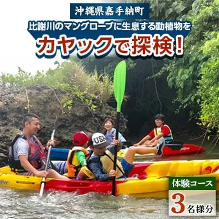 【3名様体験コース】比謝川のマングローブに生息する動植物をカヤックで探検!【1399162】