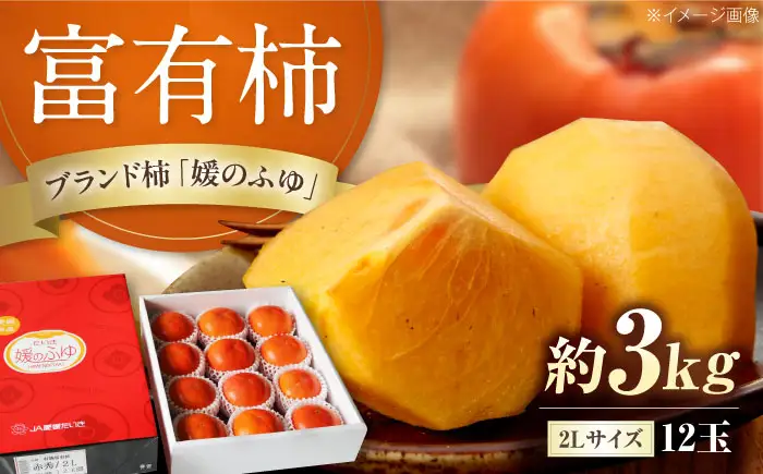 有袋富有柿 2L玉サイズ　約3kg（12玉入り) BKAL001 柿