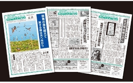 地方紙 瀬戸内タイムス（1年間購読） AM0102