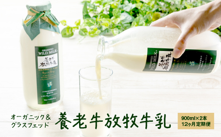 【定期便：全12回】オーガニック＆グラスフェッド養老牛放牧牛乳900ml×2本【1301502】