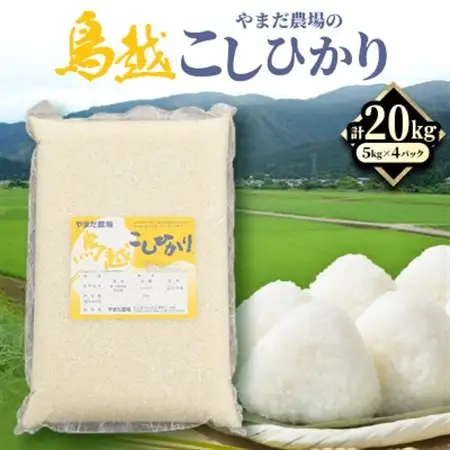 やまだ農場の鳥越こしひかり20kg(5kg×4パック)白米_ コシヒカリ 米 こしひかり_【1019157】