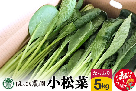山形県白鷹町産 とれたて小松菜（5kg）個数限定 国産 旬 野菜 やさい こまつな