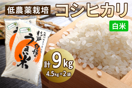 低農薬栽培 コシヒカリ 白米＜9kg（4.5kg×2袋）＞ | おいしい お米 コメ ご飯 お取り寄せ 贈り物 上原農場 埼玉県 杉戸町