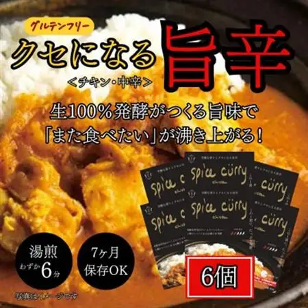 発酵スパイスカレー6個 ★白山麓のW発酵とスパイス5種  クセになる旨辛 グルテンフリー＆無添加_惣菜・加工品 カレー  _【配送不可地域：離島】【1376653】