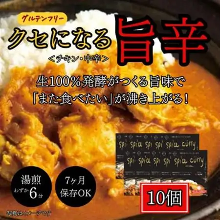 発酵スパイスカレー10個 ★白山麓のW発酵とスパイス5種  クセになる旨辛 グルテンフリー＆無添加_惣菜・加工品 カレー  _【配送不可地域：離島】【1376659】