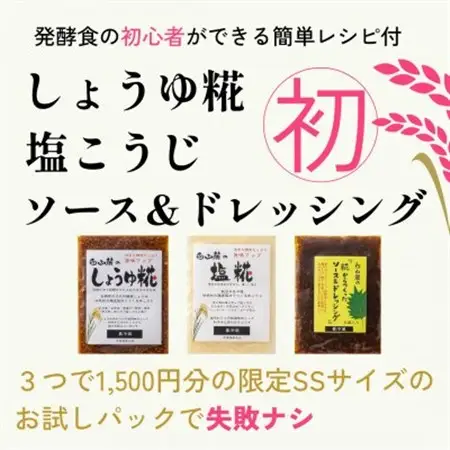 糀はじめてセット★発酵食の初心者ができる簡単レシピ付★お試しパックで失敗ナシ_調味料   _【配送不可地域：離島】【1383797】