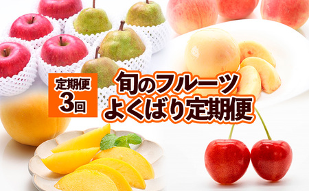 【定期便3回】旬のフルーツ　よくばり定期便  FZ25-824