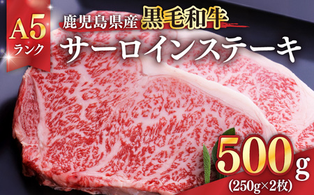 1397-1 鹿児島県産黒毛和牛A5ランクサーロインステーキ 500g（250g×2枚） KN041-001-01 肉 牛肉 冷凍