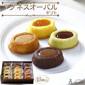アグネスオーバルギフト 4種（15個）フランス菓子 焼き菓子