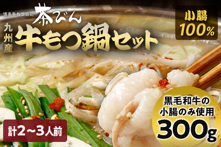 もつ鍋セット 2～3人前 醤油味 ホルモン小腸 もつ 小腸 300g 九州産 国産 ホルモン スープ ちゃんぽん ごま 鷹の爪 ごま油 セット 黒毛和牛 冷凍 取り寄せ 送料無料 牛もつ鍋処 茶びん